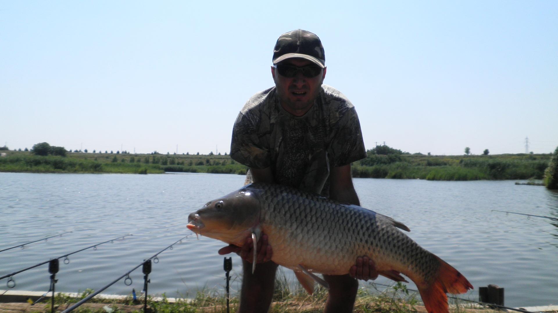 Tancabesti - p7100109.JPG